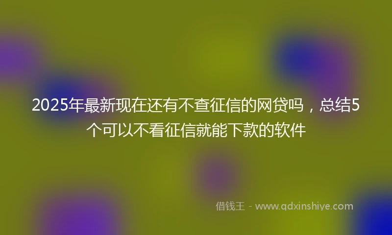 2025年最新现在还有不查征信的网贷吗，总结5个可以不看征信就能下款的软件