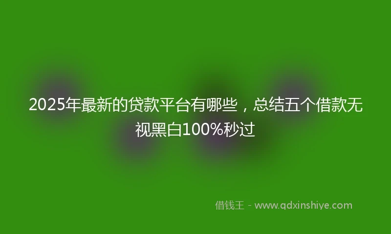 2025年最新的贷款平台有哪些，总结五个借款无视黑白100%秒过