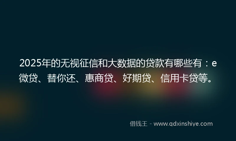 2025年的无视征信和大数据的贷款有哪些有：e微贷、替你还、惠商贷、好期贷、信用卡贷等。