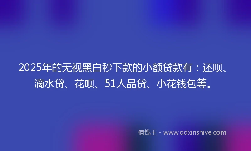 2025年的无视黑白秒下款的小额贷款有：还呗、滴水贷、花呗、51人品贷、小花钱包等。