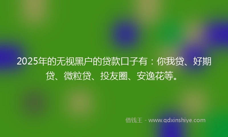 2025年的无视黑户的贷款口子有：你我贷、好期贷、微粒贷、投友圈、安逸花等。