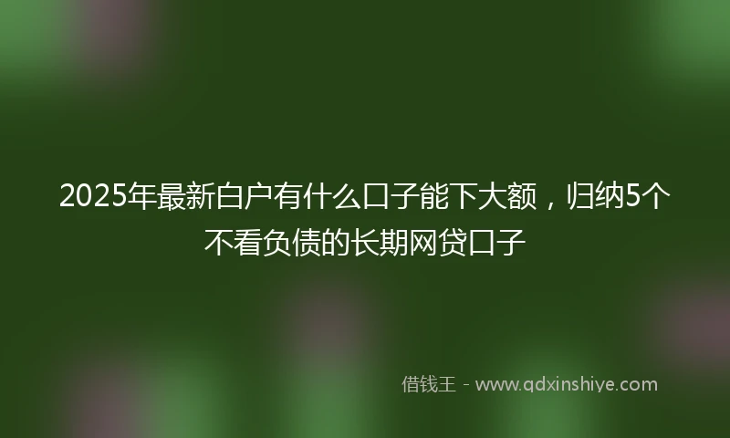 2025年最新白户有什么口子能下大额，归纳5个不看负债的长期网贷口子