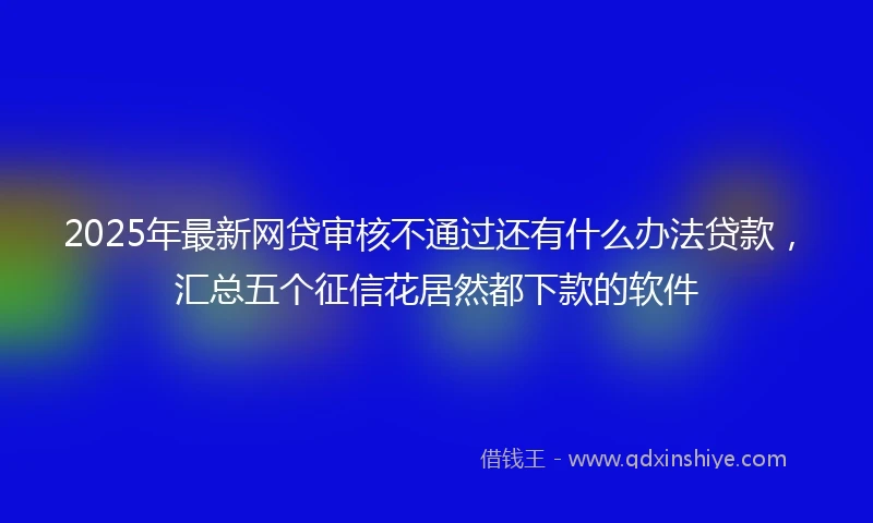 2025年最新网贷审核不通过还有什么办法贷款，汇总五个征信花居然都下款的软件