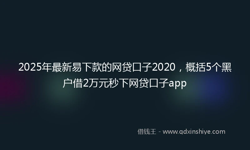 2025年最新易下款的网贷口子2020，概括5个黑户借2万元秒下网贷口子app