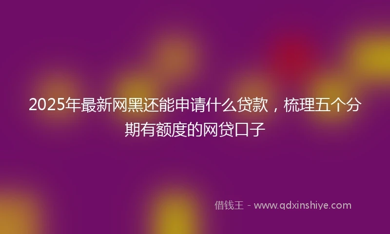 2025年最新网黑还能申请什么贷款，梳理五个分期有额度的网贷口子