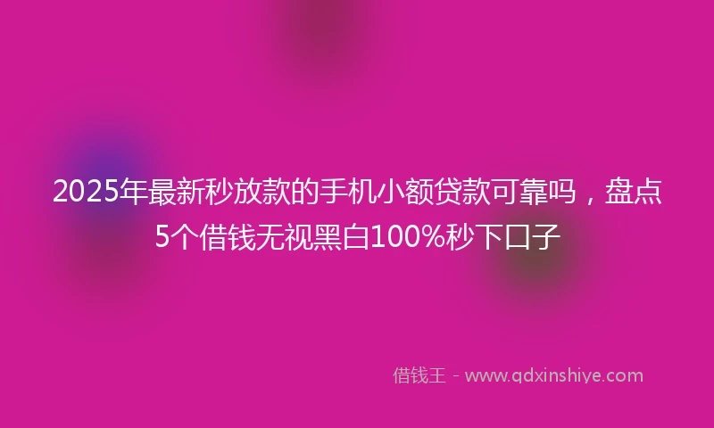 2025年最新秒放款的手机小额贷款可靠吗，盘点5个借钱无视黑白100%秒下口子