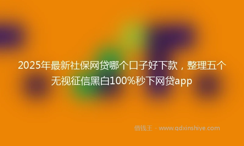 2025年最新社保网贷哪个口子好下款，整理五个无视征信黑白100%秒下网贷app