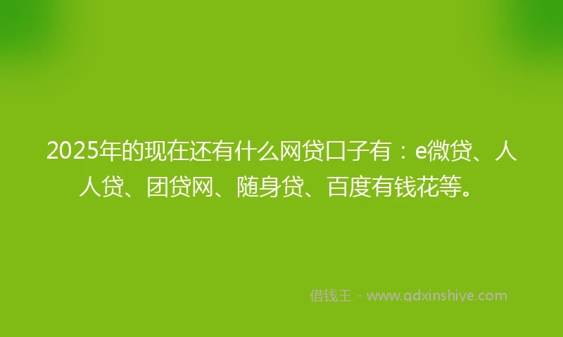 2025年的现在还有什么网贷口子有：e微贷、人人贷、团贷网、随身贷、百度有钱花等。