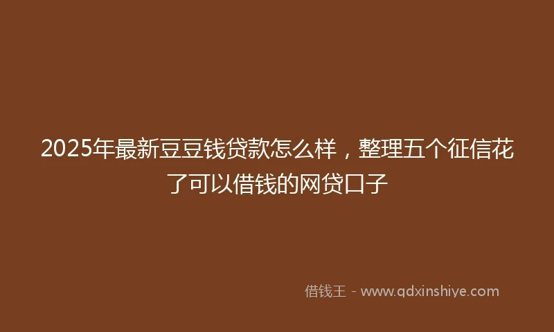 2025年最新豆豆钱贷款怎么样，整理五个征信花了可以借钱的网贷口子