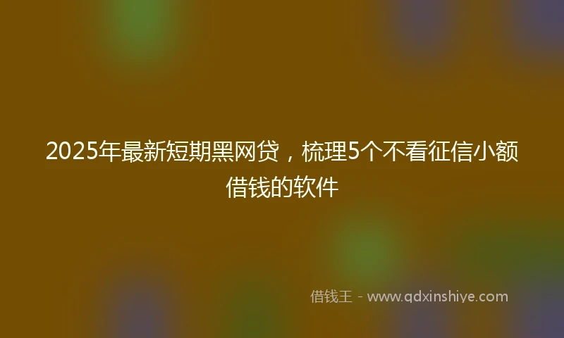 2025年最新短期黑网贷，梳理5个不看征信小额借钱的软件