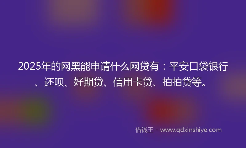 2025年的网黑能申请什么网贷有：平安口袋银行、还呗、好期贷、信用卡贷、拍拍贷等。