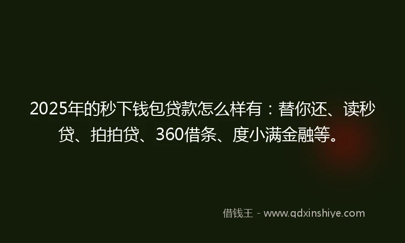 2025年的秒下钱包贷款怎么样有：替你还、读秒贷、拍拍贷、360借条、度小满金融等。