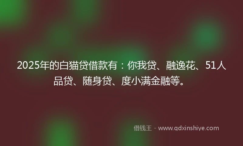 2025年的白猫贷借款有：你我贷、融逸花、51人品贷、随身贷、度小满金融等。