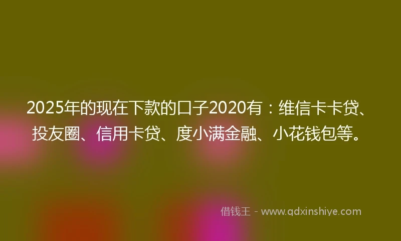 2025年的现在下款的口子2020有：维信卡卡贷、投友圈、信用卡贷、度小满金融、小花钱包等。