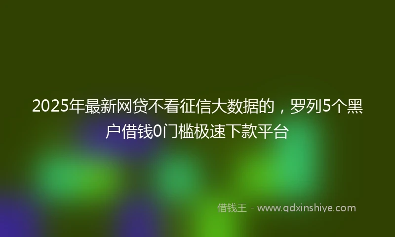 2025年最新网贷不看征信大数据的，罗列5个黑户借钱0门槛极速下款平台