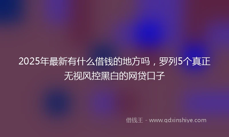 2025年最新有什么借钱的地方吗，罗列5个真正无视风控黑白的网贷口子