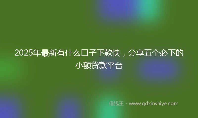2025年最新有什么口子下款快，分享五个必下的小额贷款平台