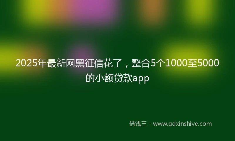 2025年最新网黑征信花了,整合5个1000至5000的小额贷款app