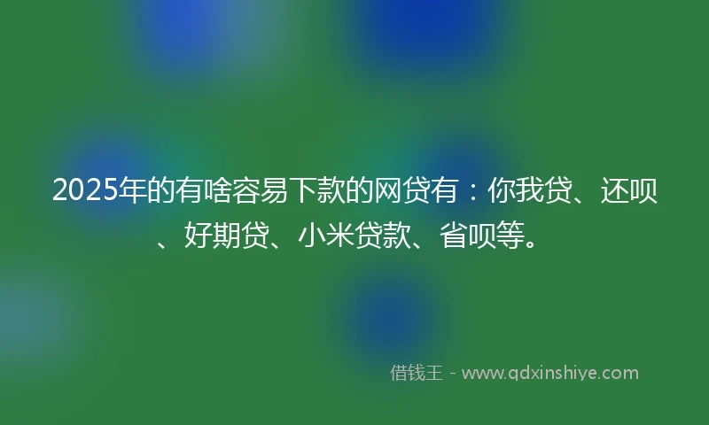 2025年的有啥容易下款的网贷有：你我贷、还呗、好期贷、小米贷款、省呗等。