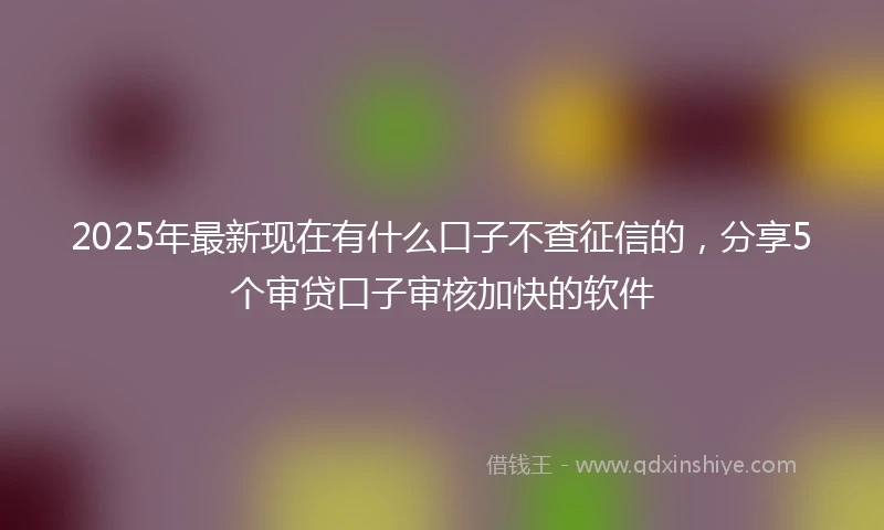 2025年最新现在有什么口子不查征信的，分享5个审贷口子审核加快的软件