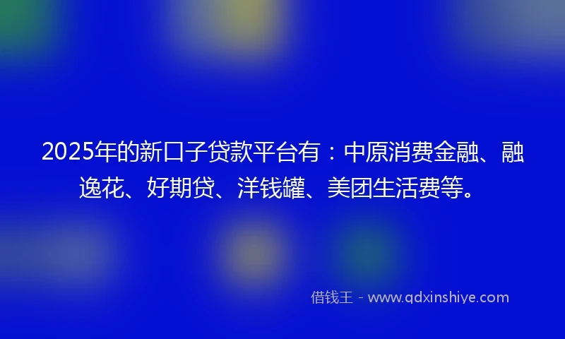 2025年的新口子贷款平台有：中原消费金融、融逸花、好期贷、洋钱罐、美团生活费等。