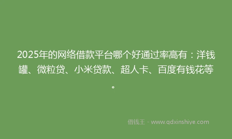 2025年的网络借款平台哪个好通过率高有：洋钱罐、微粒贷、小米贷款、超人卡、百度有钱花等。