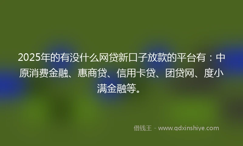 2025年的有没什么网贷新口子放款的平台有:中原消费金融、惠商贷、信用卡贷、团贷网、度小满金融等。