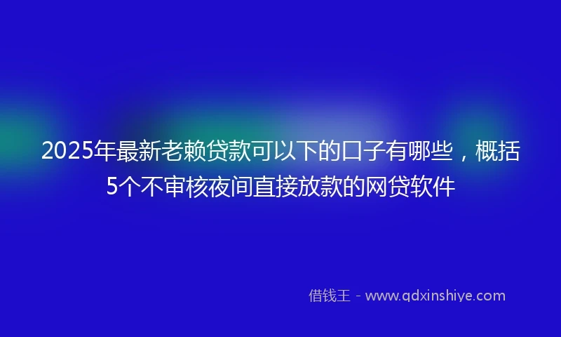 2025年最新老赖贷款可以下的口子有哪些，概括5个不审核夜间直接放款的网贷软件