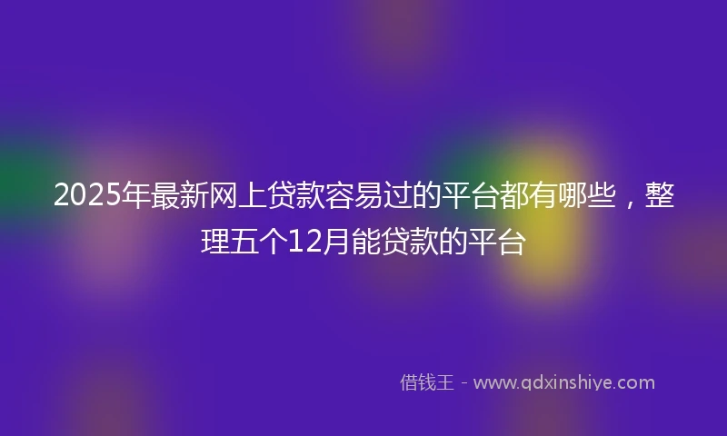 2025年最新网上贷款容易过的平台都有哪些，整理五个12月能贷款的平台