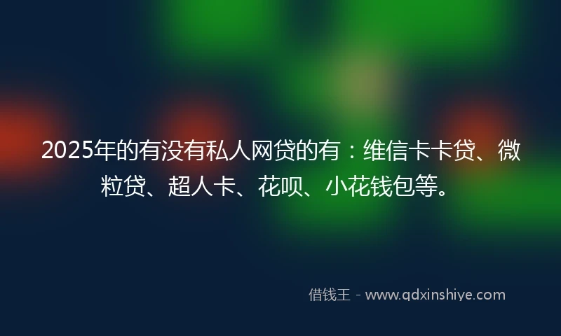 2025年的有没有私人网贷的有：维信卡卡贷、微粒贷、超人卡、花呗、小花钱包等。