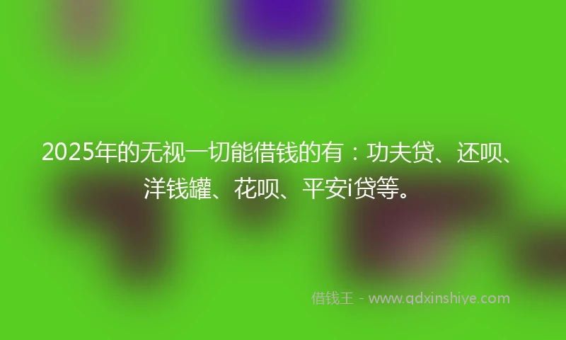 2025年的无视一切能借钱的有：功夫贷、还呗、洋钱罐、花呗、平安i贷等。