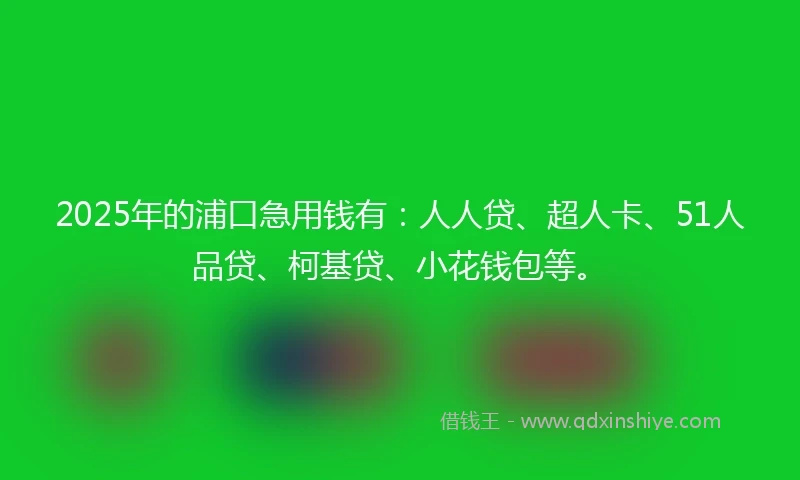 2025年的浦口急用钱有：人人贷、超人卡、51人品贷、柯基贷、小花钱包等。