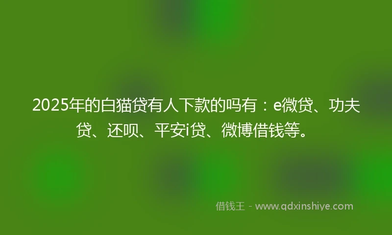 2025年的白猫贷有人下款的吗有：e微贷、功夫贷、还呗、平安i贷、微博借钱等。