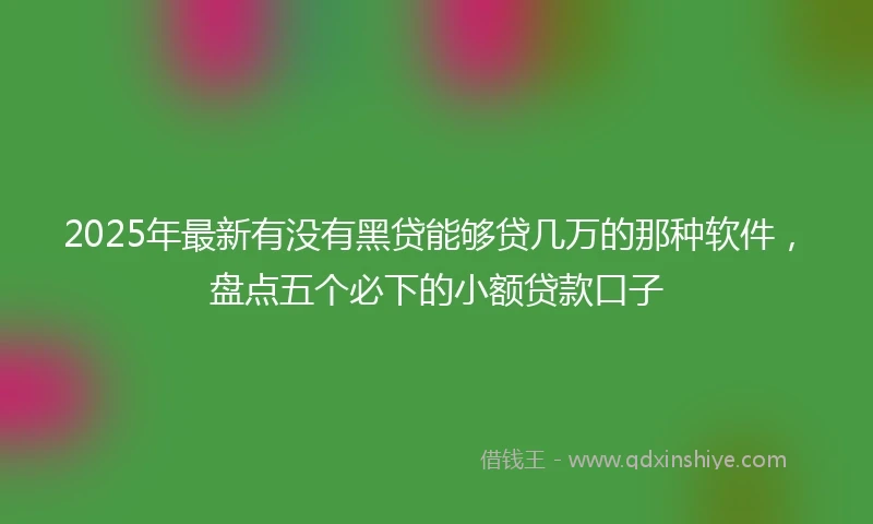 2025年最新有没有黑贷能够贷几万的那种软件，盘点五个必下的小额贷款口子