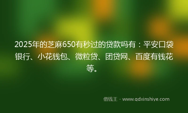 2025年的芝麻650有秒过的贷款吗有：平安口袋银行、小花钱包、微粒贷、团贷网、百度有钱花等。