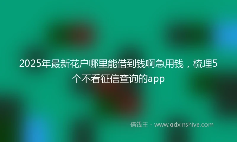 2025年最新花户哪里能借到钱啊急用钱，梳理5个不看征信查询的app