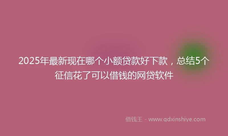 2025年最新现在哪个小额贷款好下款,总结5个征信花了可以借钱的网贷软件