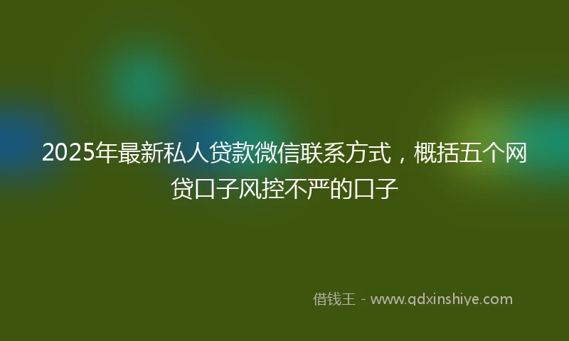 2025年最新私人贷款微信联系方式，概括五个网贷口子风控不严的口子