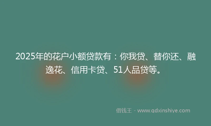 2025年的花户小额贷款有：你我贷、替你还、融逸花、信用卡贷、51人品贷等。