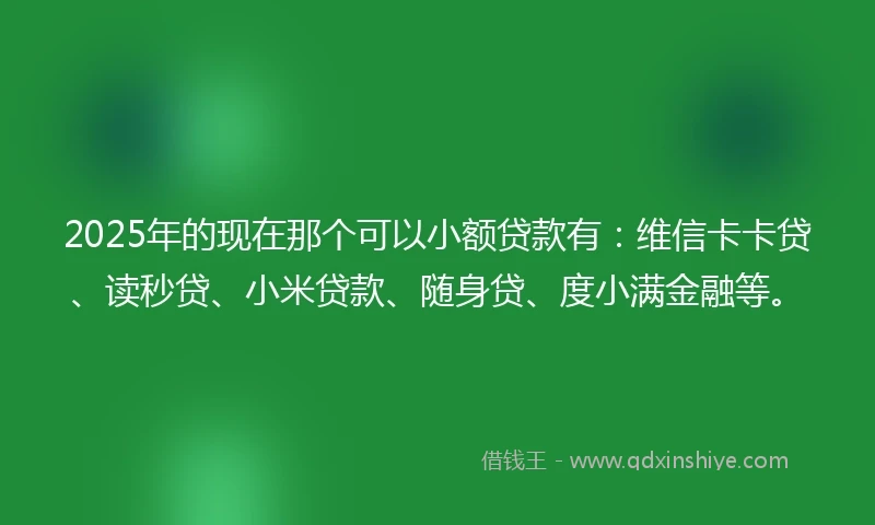2025年的现在那个可以小额贷款有：维信卡卡贷、读秒贷、小米贷款、随身贷、度小满金融等。
