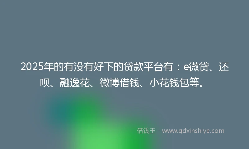 2025年的有没有好下的贷款平台有：e微贷、还呗、融逸花、微博借钱、小花钱包等。