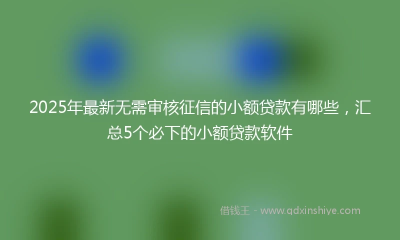 2025年最新无需审核征信的小额贷款有哪些，汇总5个必下的小额贷款软件