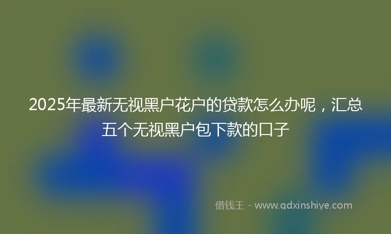 2025年最新无视黑户花户的贷款怎么办呢，汇总五个无视黑户包下款的口子