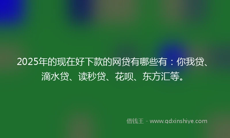 2025年的现在好下款的网贷有哪些有：你我贷、滴水贷、读秒贷、花呗、东方汇等。