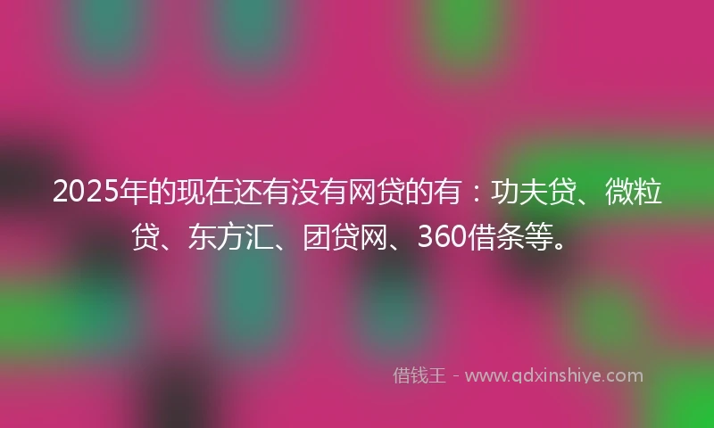 2025年的现在还有没有网贷的有：功夫贷、微粒贷、东方汇、团贷网、360借条等。