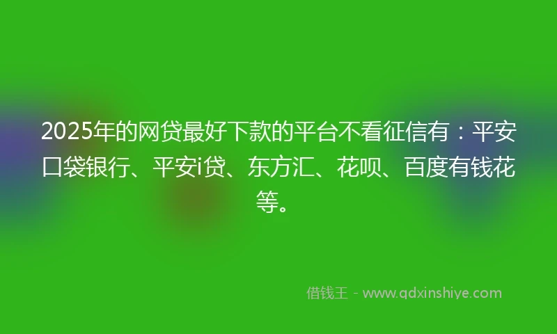 2025年的网贷最好下款的平台不看征信有：平安口袋银行、平安i贷、东方汇、花呗、百度有钱花等。