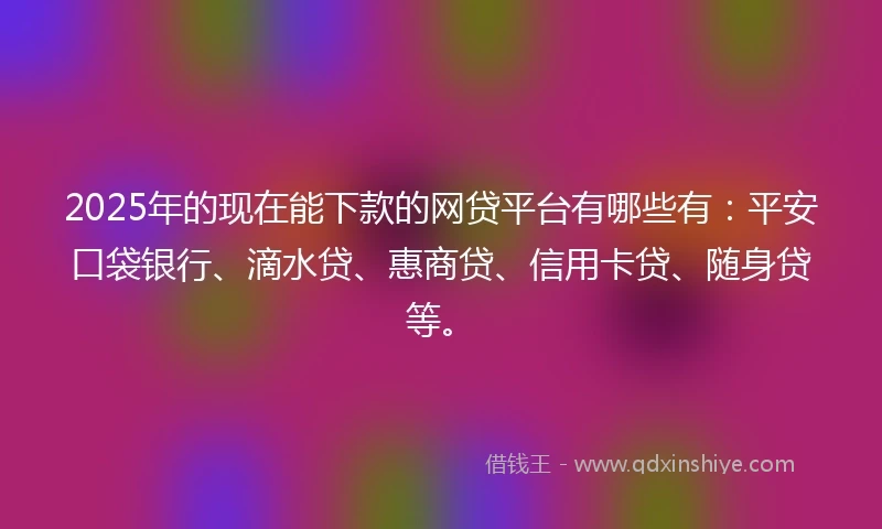 2025年的现在能下款的网贷平台有哪些有：平安口袋银行、滴水贷、惠商贷、信用卡贷、随身贷等。
