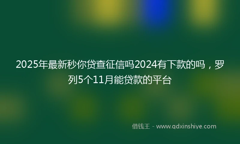 2025年最新秒你贷查征信吗2024有下款的吗，罗列5个11月能贷款的平台