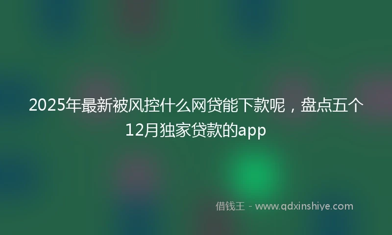 2025年最新被风控什么网贷能下款呢,盘点五个12月独家贷款的app
