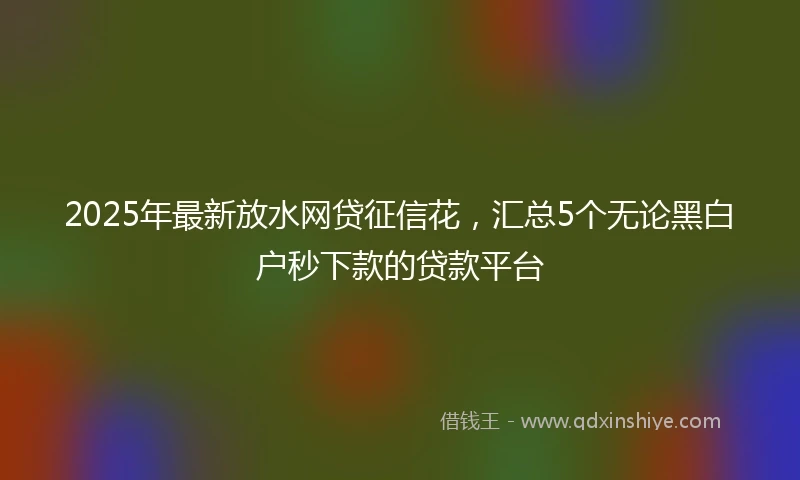 2025年最新放水网贷征信花，汇总5个无论黑白户秒下款的贷款平台